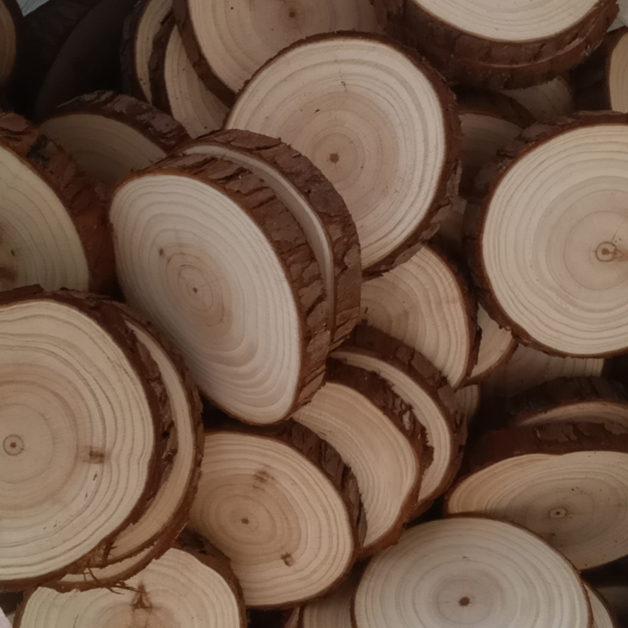 杉木圆木片 年轮diy木头块装饰背景墙小圆木片手工材料绘画原木片