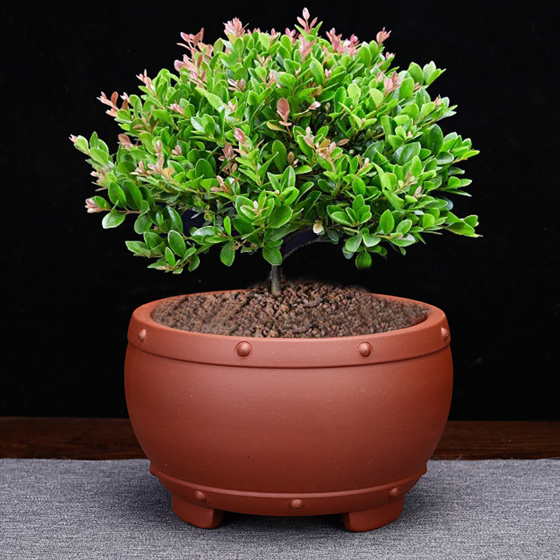 紫砂花盆仿古圆形兰草多肉老桩桌面花卉绿植盆景精品陶瓷简约家用