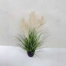 狗尾草洋葱草 家居商场园林布景装饰花 狗尾洋葱草假树盆栽