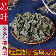 中药材 苏叶 正品紫苏叶 紫苏子 纯天然新鲜干货 泡茶 500克包邮