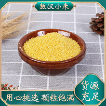 新内蒙赤峰黄金苗黄小米批发小米粥月子米 磨粉磨面东北小米 金苗