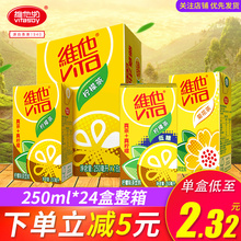 Vita维他奶柠檬茶250ml*24盒整箱菊花蜜桃茶饮料低糖果味饮品批发