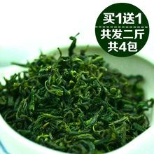 日照绿茶2024年新茶叶高山云雾炒青毛尖春茶散袋装礼盒浓香1000g