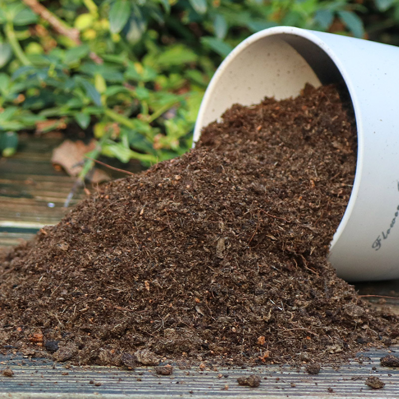 菠萝专用土庭院水果种植营养土酸性沙质泥炭红土壤绿植种植土肥料