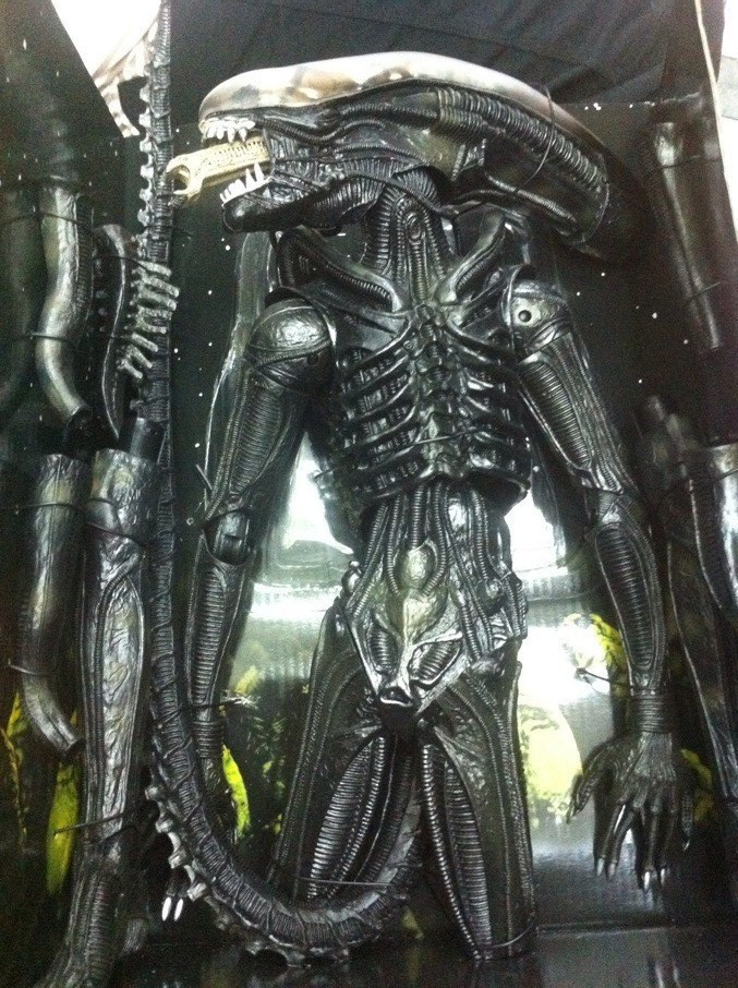 neca 异形大战铁血战士18寸异形 透明脑壳可动手办 模型