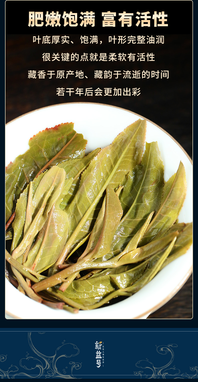 云南普洱茶 生茶 新益号茶叶 龙柱 私家古树春茶 1000g 产地直批