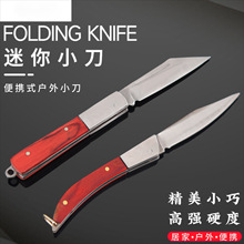 折叠小刀便携式随身迷你小刀高硬度不锈钢削皮瓜果刀家用户外刀具