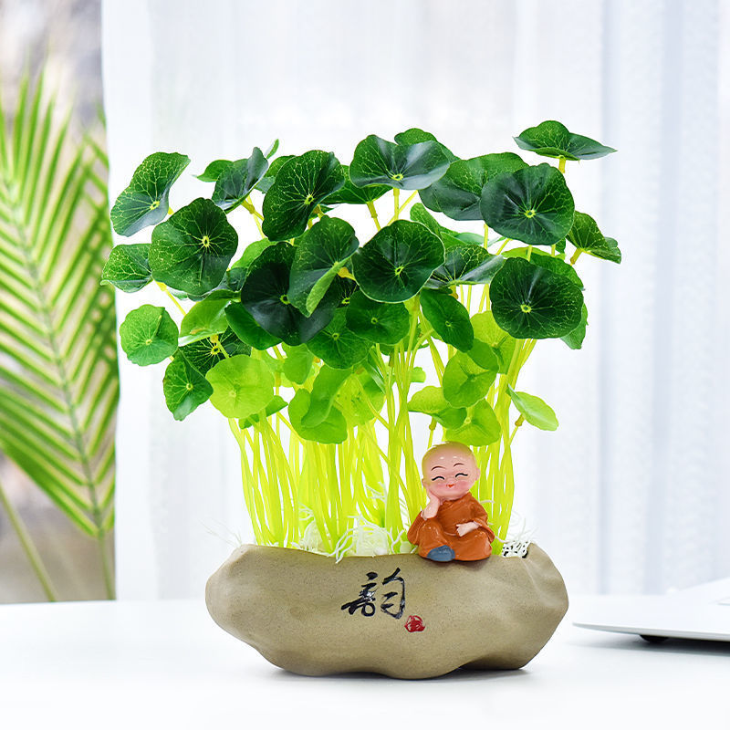 铜钱草钱串子绿植金钱草新款盆栽客厅办公桌装饰摆件植物盆景