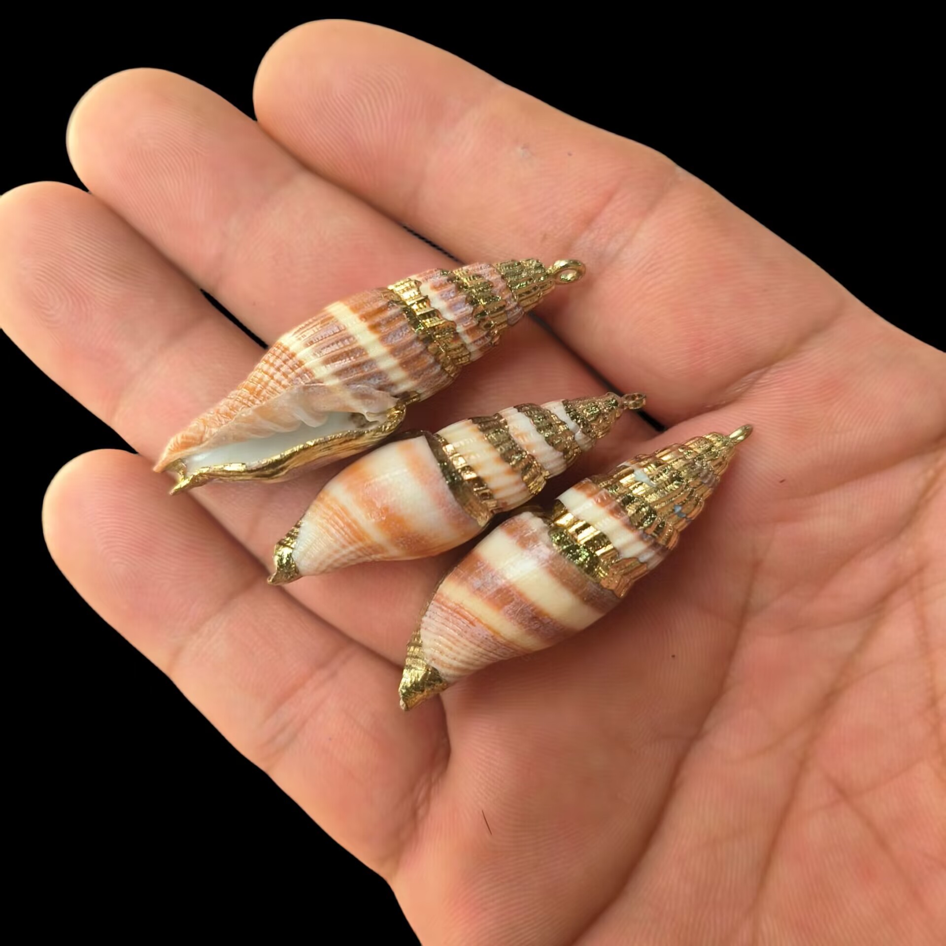 圣诞节装饰海螺贝壳吊坠天然小海螺挂件金边贝壳项链耳环配饰