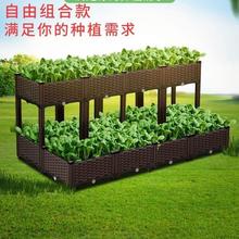 种植箱厚楼顶种菜专用阳台庭院室外蔬菜种植箱家庭特大号花盆塑料