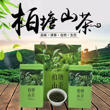 广东特产柏塘山茶客家高香手工绿茶博罗惠州茶叶批发批发价亚马逊