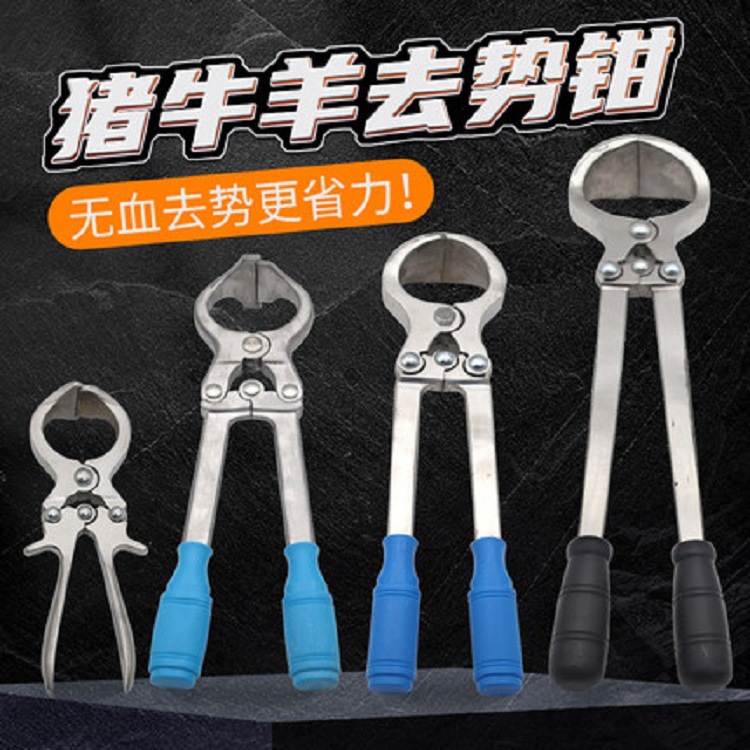 公羊去势钳无血不锈钢煽羊钳阉羊钳碳钢羊去势钳阉割钳夹蛋钳
