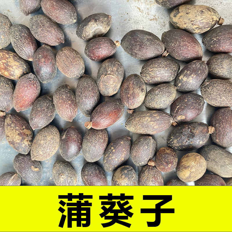 蒲葵子500g 中药材藏药-阿里巴巴