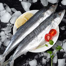 马鲛鱼 新鲜大整条中段海南大马鲛鱼整切片5斤8斤10斤礼盒装送礼