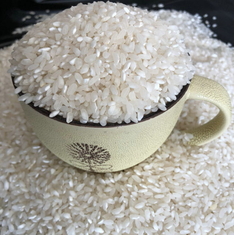 安徽早籼米早稻米无粘性炒饭食堂肠粉发糕豆腐陈糙新线米凉皮5斤