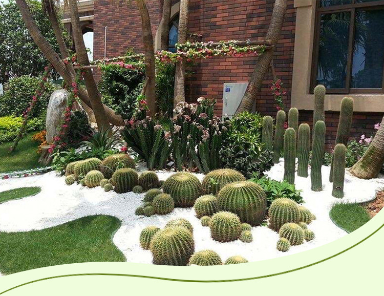 园林草石隔离带绿化带数目草坪分割护栏围栏板