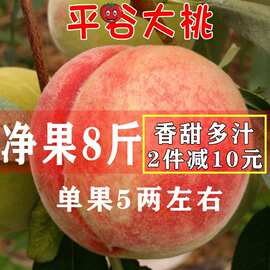 北京水蜜桃新鲜平谷大桃子久保9号14号当季软硬脆甜水果多汁