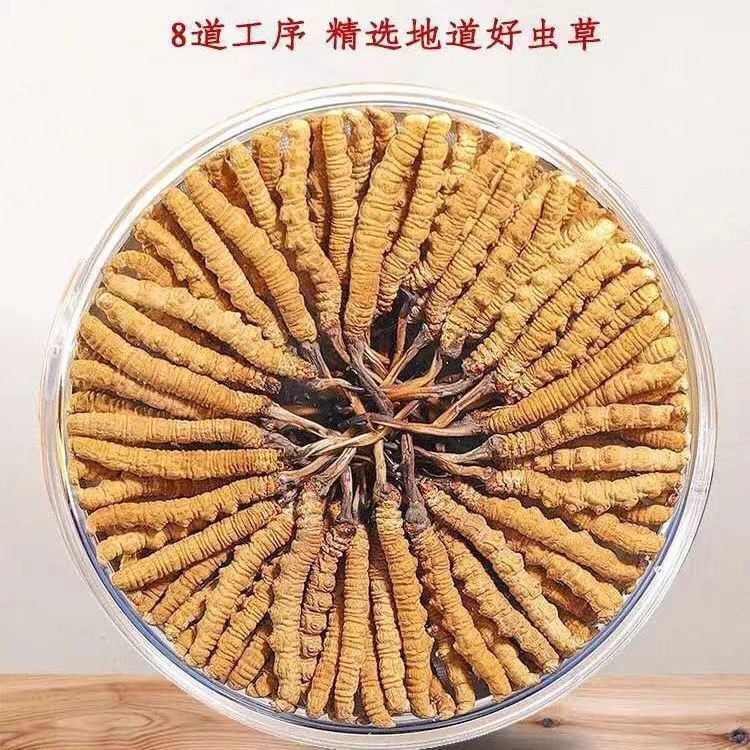 正宗藏区冬虫夏草冬虫草虫草王滋补甘孜非那曲虫草礼盒滋补-阿里巴巴