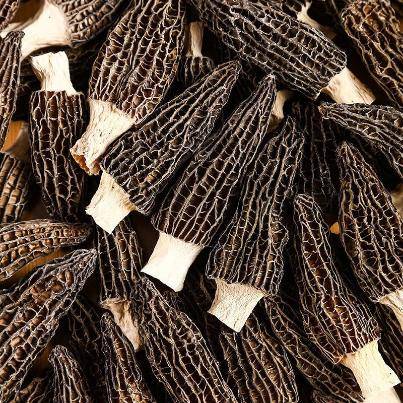 羊肚菌批发干货野生云南煲汤料大个新鲜食用菇特产菌菇类一件代发