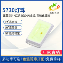 5730冰蓝灯珠LED5730冰蓝贴片 0.5W冰蓝 淡蓝480nm灯珠工厂直销