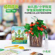 儿童阳光种植房小学生种菜植物生长观察盒箱窗玩具科学小实验套装