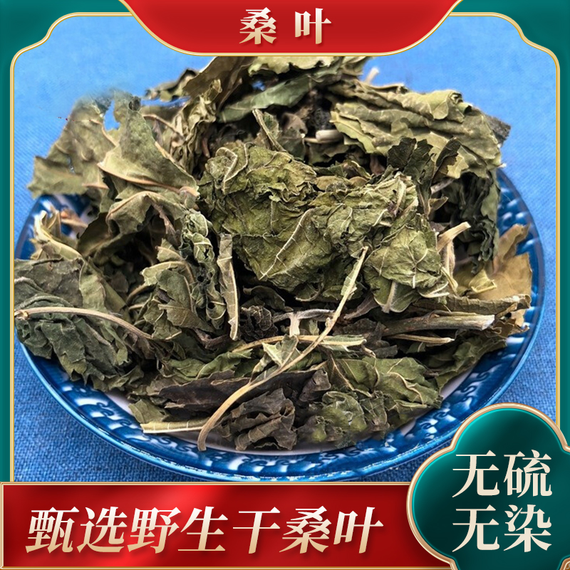 桑叶中药材桑叶干500g克包邮干桑叶泡水喝 霜打霜后