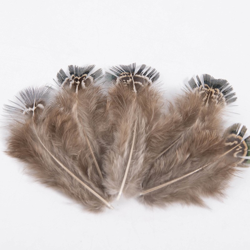 Factory in Stock Wholesale Natural Pheasant Feather Pheasant Green Eyebrow Feather 5-8cm Pheasant Feather Natural Feather DIY