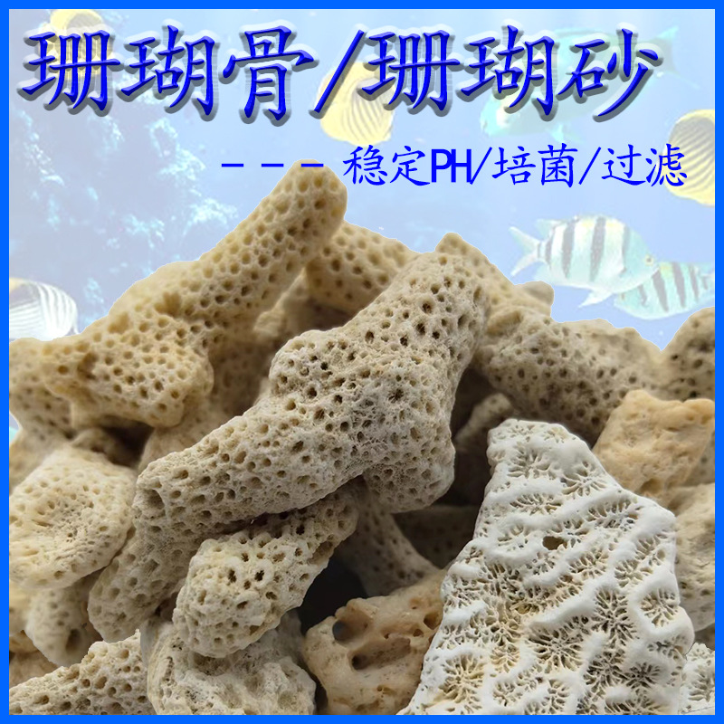 天然珊瑚骨造景装饰珊瑚骨净化水质硝化细菌调节水质平衡PH珊瑚砂