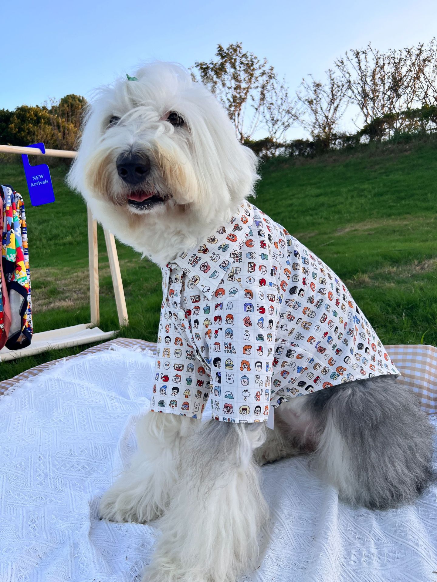 大狗衣服宠物狗狗衬衣中大型犬纯棉薄款古牧金毛防掉毛舒适透气