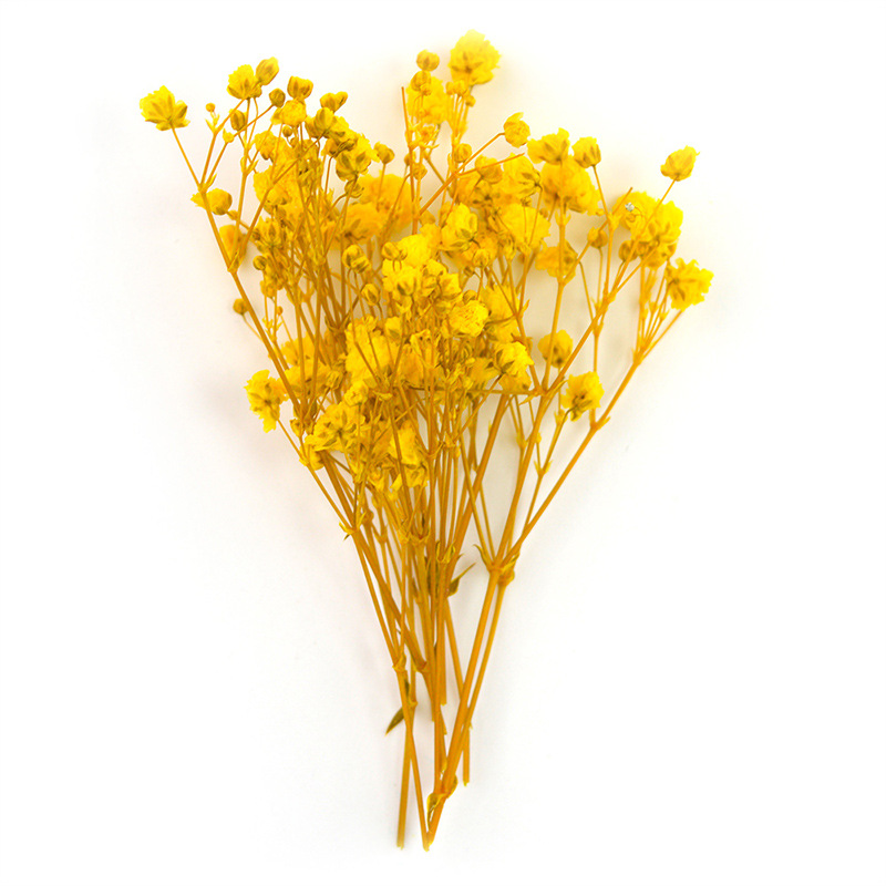 百万星 (4)2#黄色.jpg