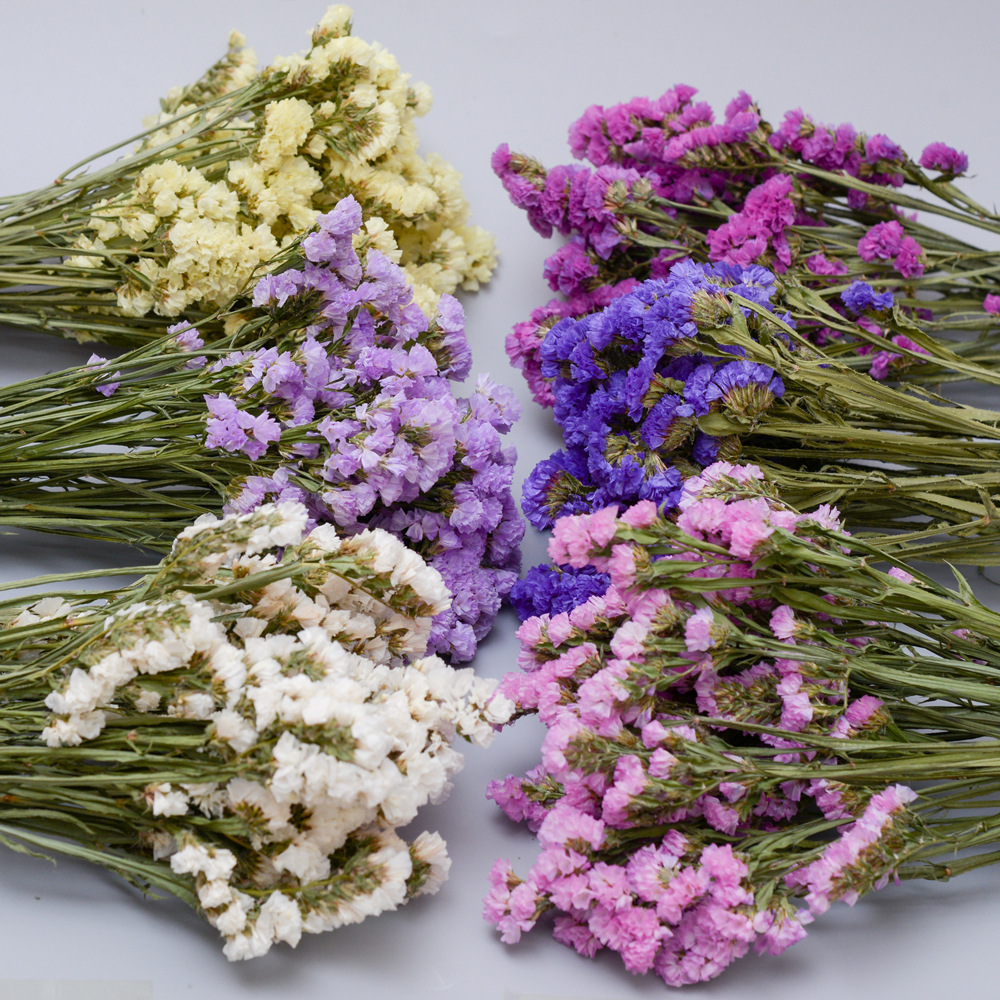 云南真花勿忘我情人草满天星干花花束水晶草称斤装饰摆件家居摆设