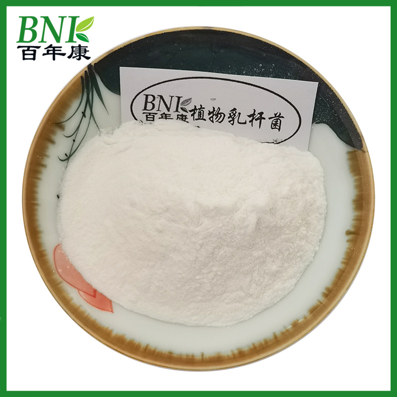 植物乳杆菌100亿cfu/g冻干型乳酸菌粉乳杆菌益生菌食品发酵原料粉