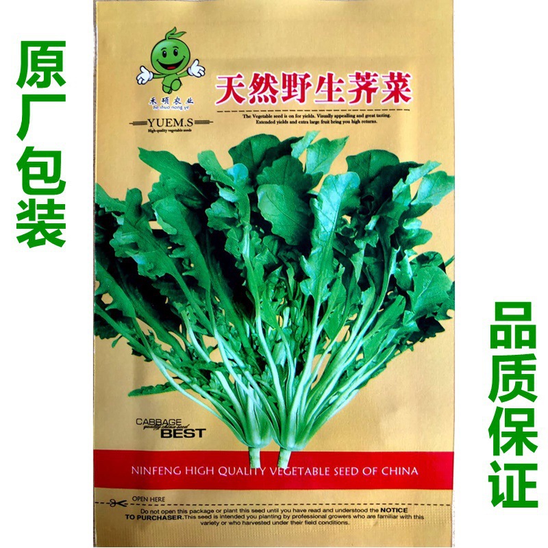 荠菜种子大全农家四季大叶春野菜种籽食用盆栽荠菜种孑青菜籽秋冬