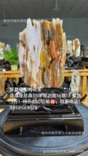 缅甸树化玉东岛老坑高冰鸡油黄玉石奇石原石矿物家居摆件收藏佳品