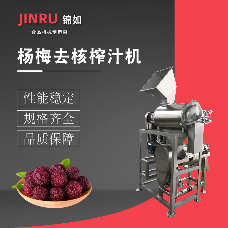 杨梅去核螺旋榨汁机组水果榨汁饮料设备
