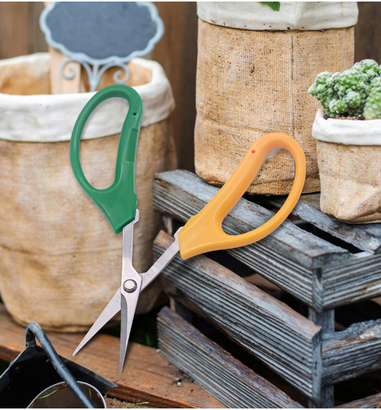 厂家批发葡萄修枝果剪刀 修枝剪采果剪 绿黄双色弯头蔬果剪