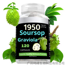 葛兰维奥拉叶胶囊番刺果胶囊Graviola capsule刺果胶囊刺番荔枝