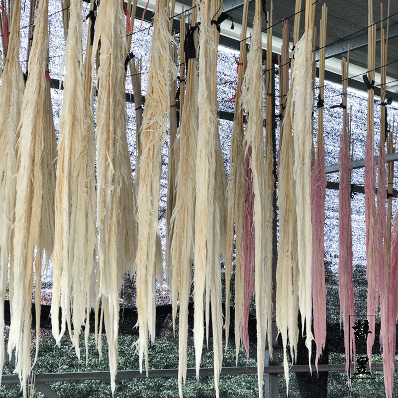 染色芦苇花大蒲苇彩色芦苇草pampas潘帕斯草定制芦苇草永生花干花