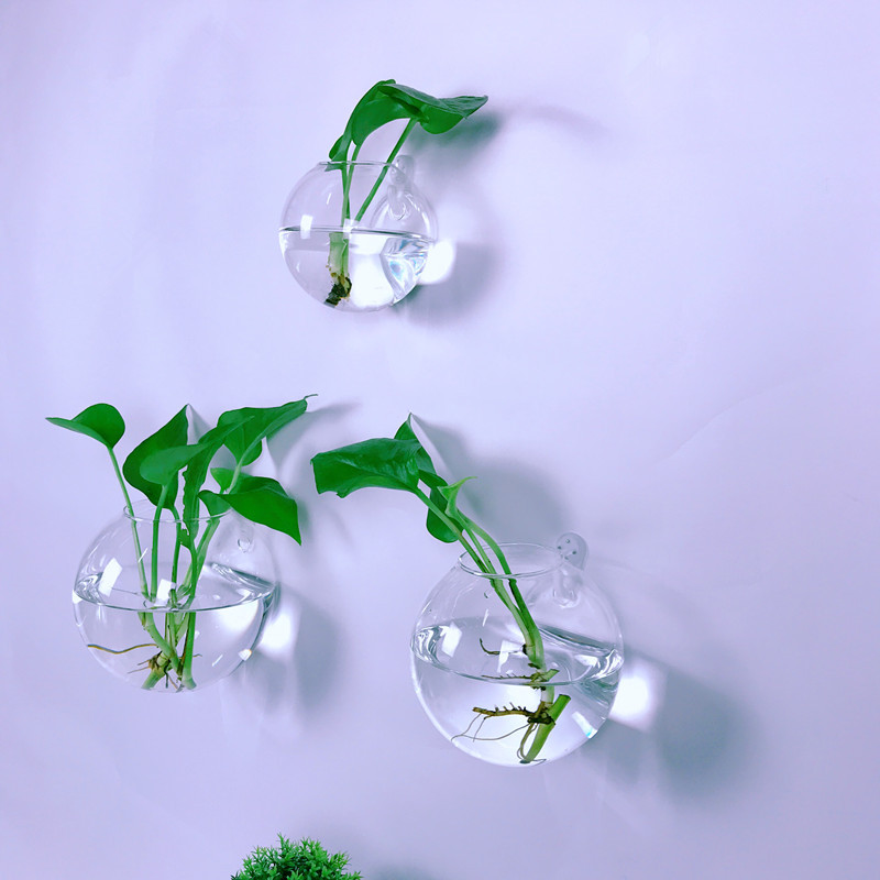 Wall Hanging Hydroponic Vase Glass Bottle Vessel Wall Hanging Plant Hydroponic Creative Wall-Mounted Spherical Green Plant Flower Pot