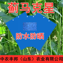 粘虫板蓝板双面粘蓟马贴跳甲诱虫板果蔬大棚专用防水厂家生产批发