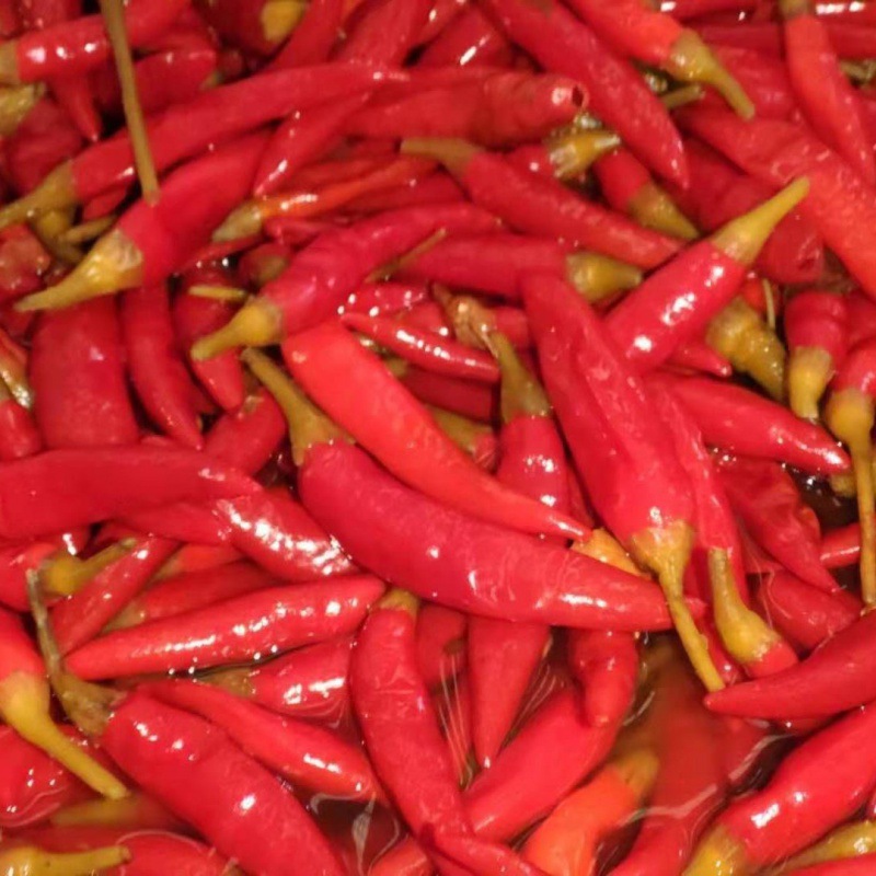 小米椒新鲜四川老坛自制红辣泡椒称无水大包装朝天椒重庆餐饮批发