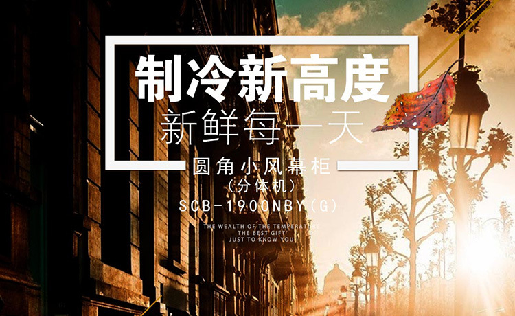 天翔冷链 牛奶柜鲜奶保鲜柜小风幕柜商用立式超市酸奶冷藏展示柜