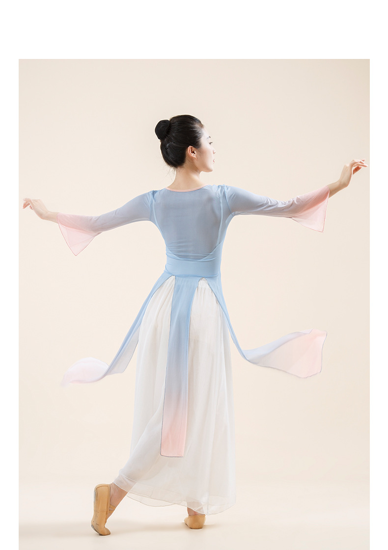 古典舞身韵纱衣舞蹈服装中国现代飘逸形体基训练功演出服连衣裙女