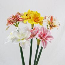 高档PU软胶君子兰朱顶红 仿真花家居玄关装饰花假花插花摆件拍摄