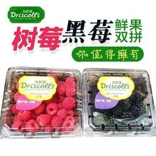 【高品质】怡颗莓黑树莓红树莓鲜果双拼2盒4盒新鲜水果覆盆子包邮