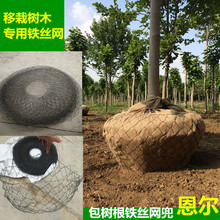 包土球 包土球铁丝网 包土球树根网树木移植保护网80厘米