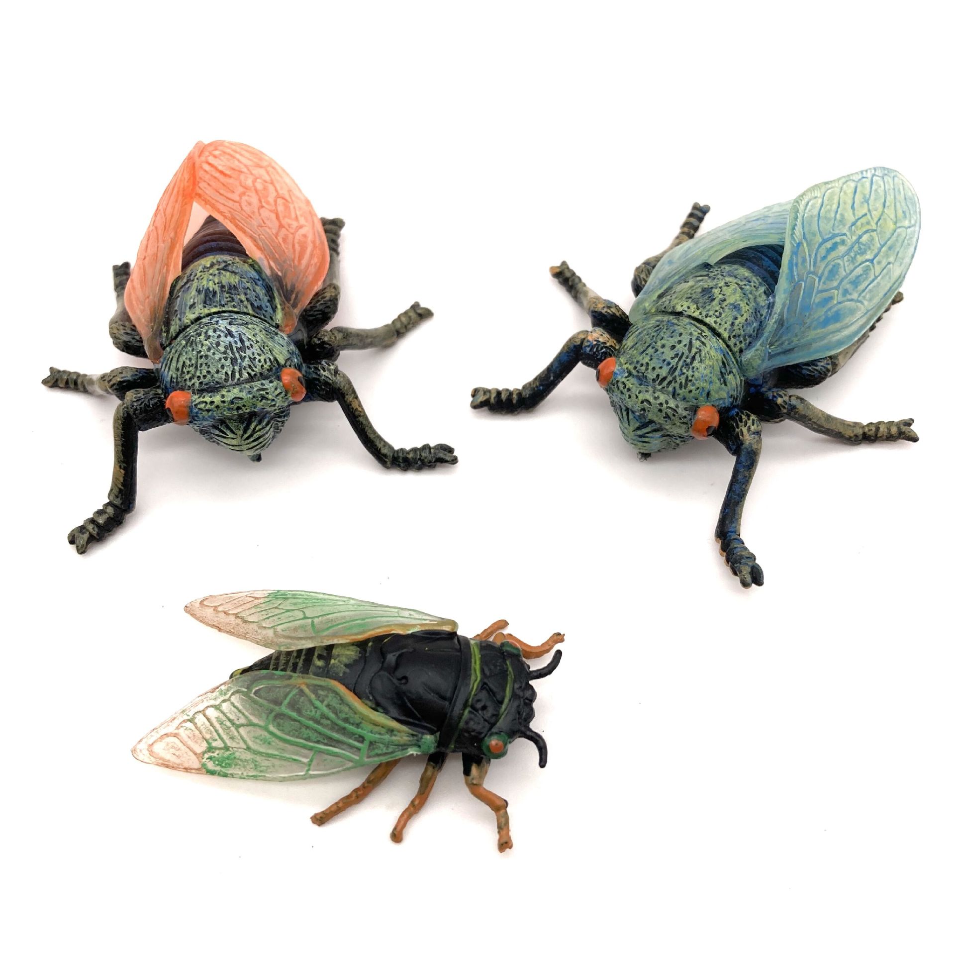 跨境仿真动物昆虫模型 知了 蝉 蜜蜂 蝉模型儿童认知实心玩具摆件