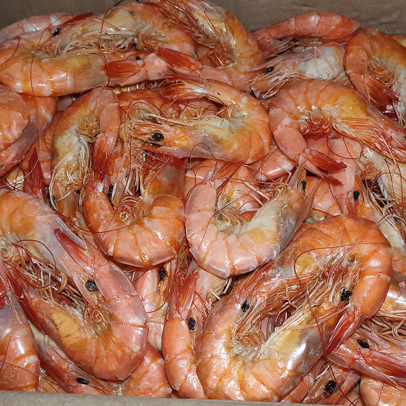 白龙虾-白龙虾批发,促销价格,产地货源 - 阿里巴巴