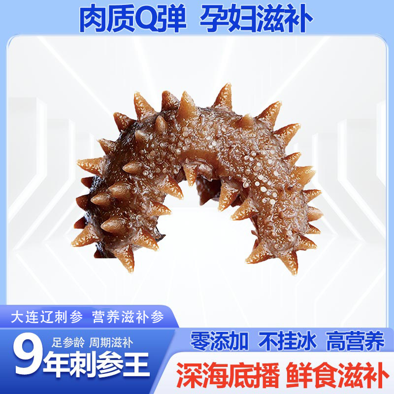 鲜食即食海参刺参大连辽宁海参 独立真空包装新鲜底播辽刺参1斤装