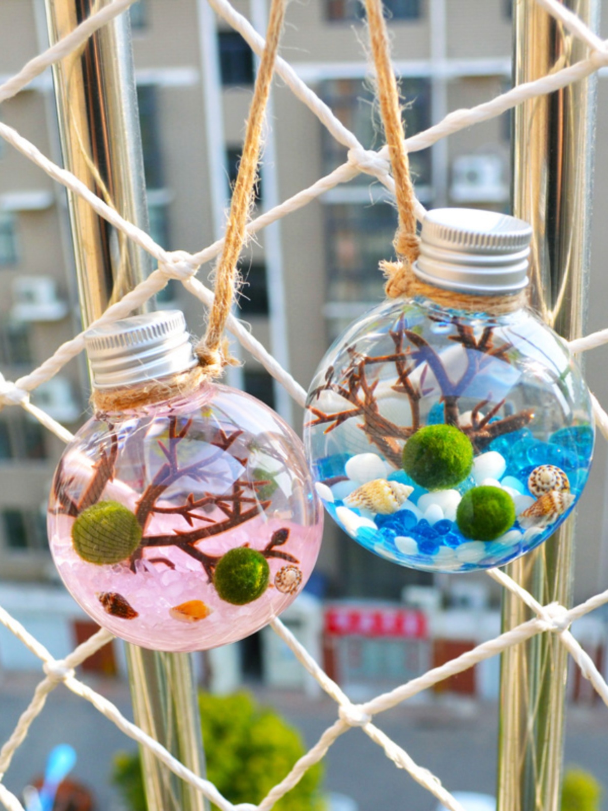 幸福海藻球微景观diy球藻marimo生态瓶装迷你小植物水培创意礼物